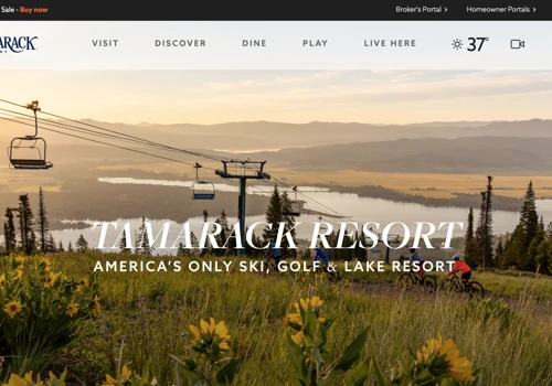 Website Development for Tamarack Ski Reosrt