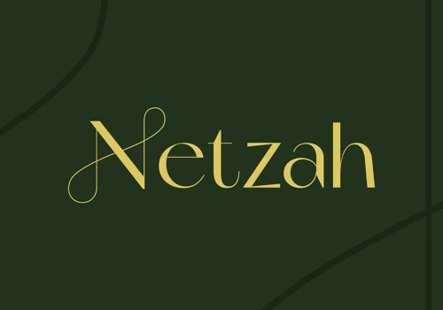 Netzah's Brand identity
