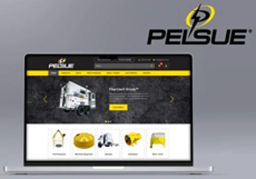 Sustainable Marketing Strategy for Pelsue