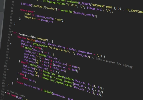Custom Scripting