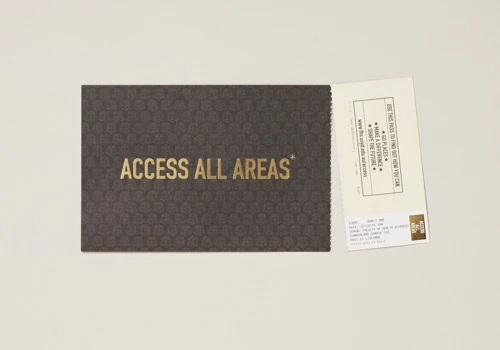 ‘Access All Areas’ Campaign