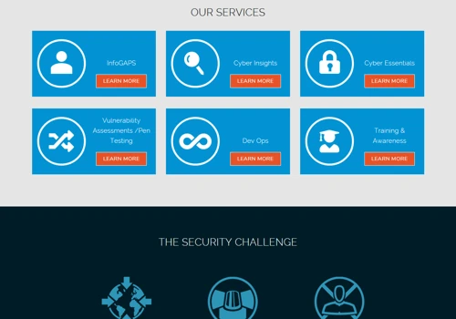 Cybercrowd