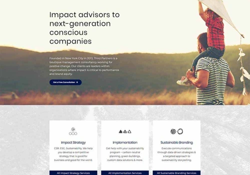 Custom WordPress Development: Third Partners