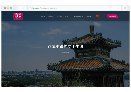 Website Redesign & E-Commerce