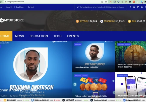 Proffessional Blog for Mybitstore