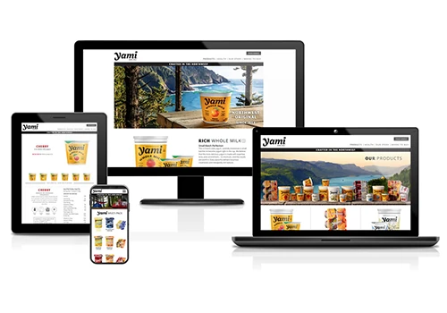 CMS Website Development For Yogurt Company