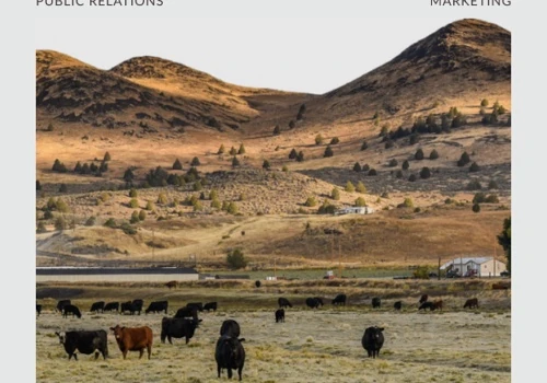 KWUA | Strategic Planning, PR, and Web Design