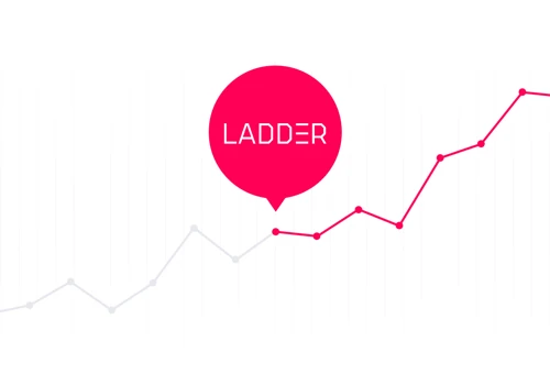 232% Increase in eCommerce Revenue via the Ladder Growth Process
