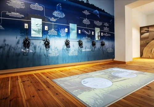 Interactive exhibition