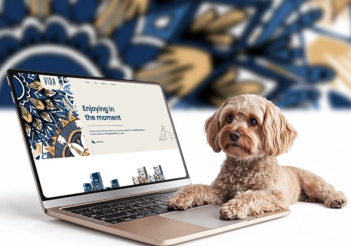 Web Development for Vida Pet Care