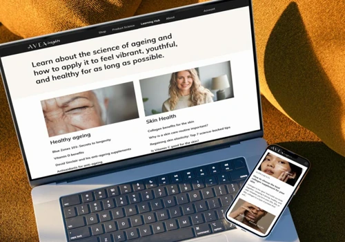 Hub Platform Development in WordPress