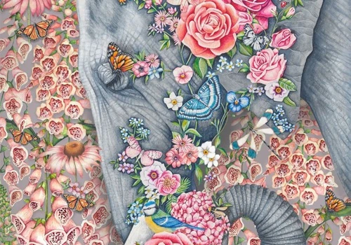 New Ecommerce Website for an Artist