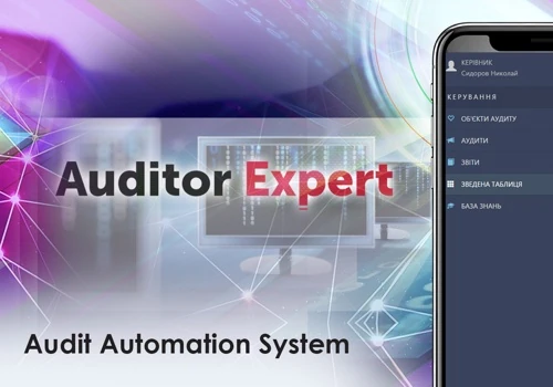 Auditor Expert, Government