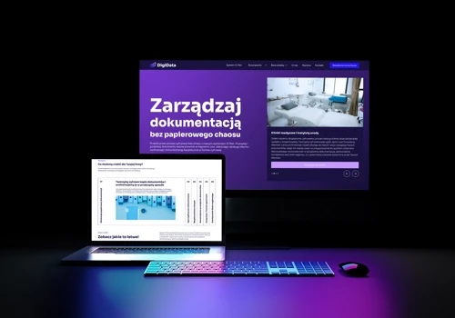 Developing DigiData brand - branding and website