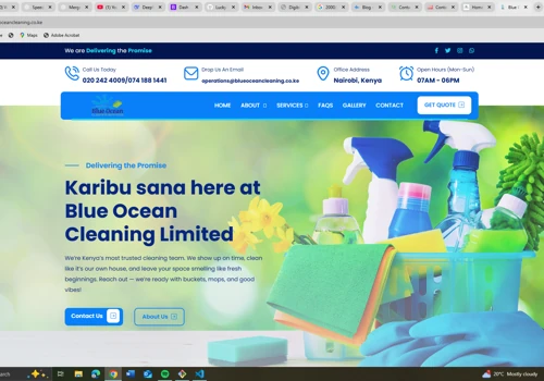 Cleaning Agency