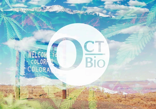 October Biosciences