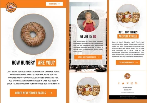 New Yorker Bagels - Scaling D2C