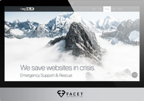 TAG1: Technical Crisis Management Brand Strategy