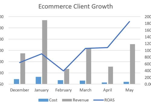 Paid Search Campaign