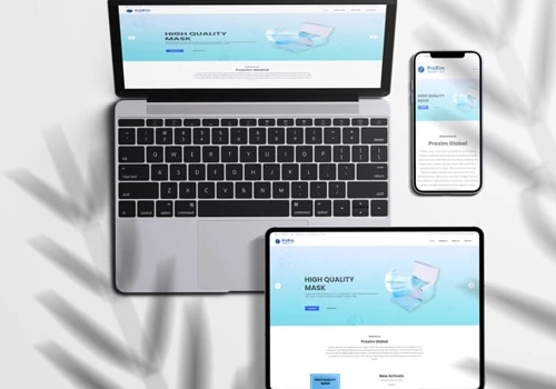 PROXIM GLOBAL LLC