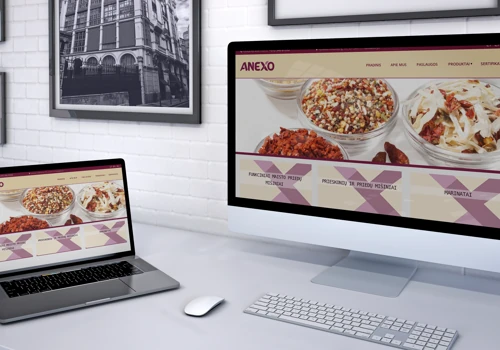 Anexo.lt website