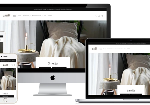 shopify store for a start-up
