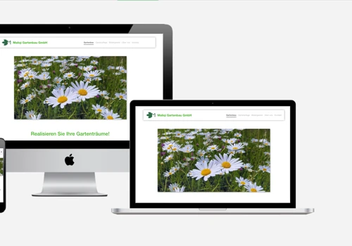 Maliqi Landscaping Switzerland