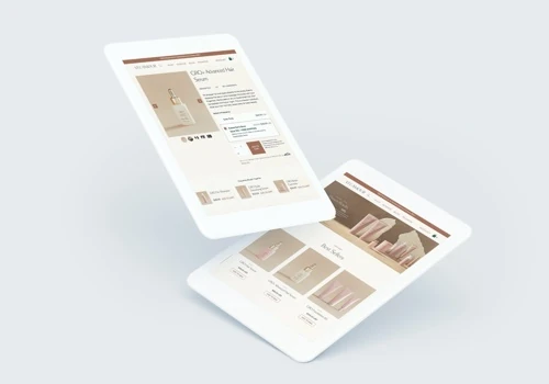 Development and growth of Shopify Plus store