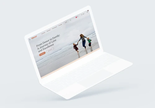 E-commerce consulting and full website prototype