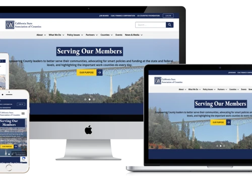 Website Redesign Project