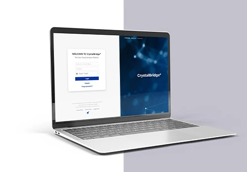 CrystalBridge platform development and maintenance