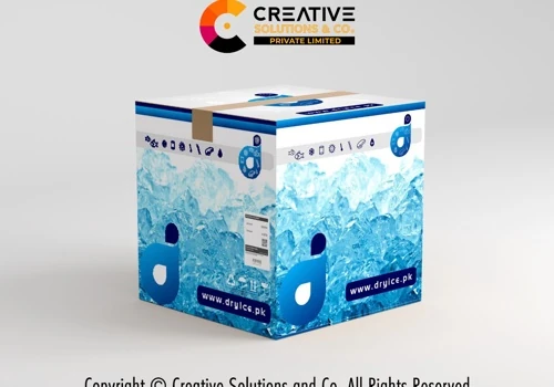 DryIce.pk | Box Design