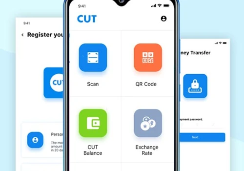 Ewallet App Development