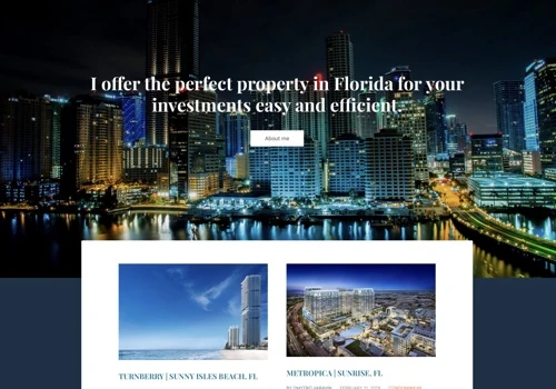 Website for DMYTRO VARAVIN, P.A.
