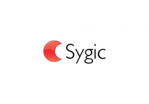 Long-term web development cooperation