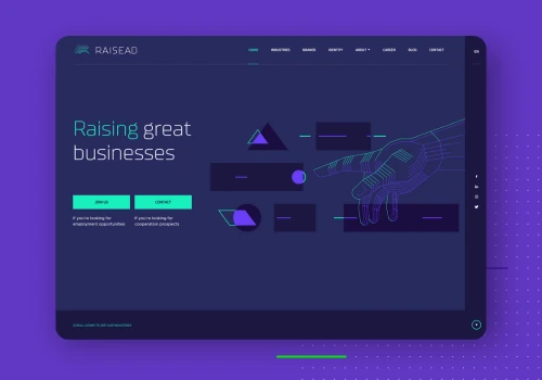 Raisead pixel perfect WordPress, detail-oriented