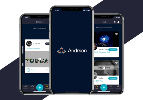 Project for Andrson