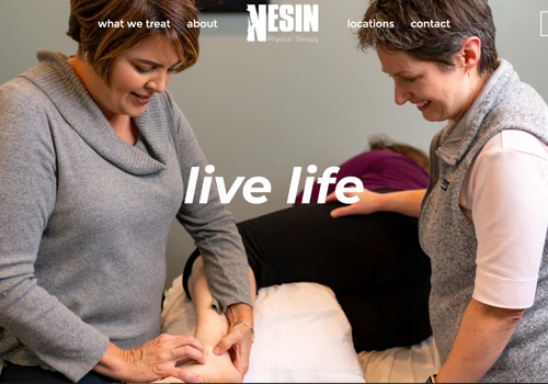 Nesin Physical Therapy New Site