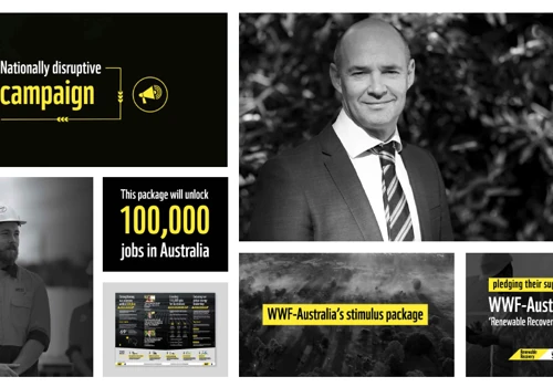 Renewable Energy National Campaign / WWF Australia