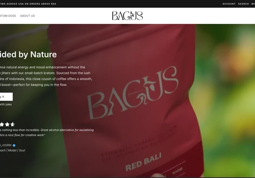 SEO & E-commerce Setup for Bagus Botanicals