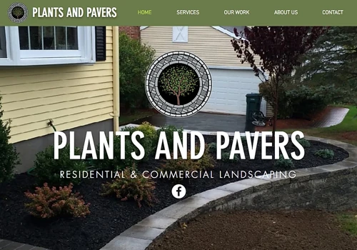 Plants and Pavers