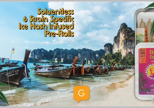 Graphic for social