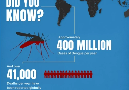 Dengue Infographic