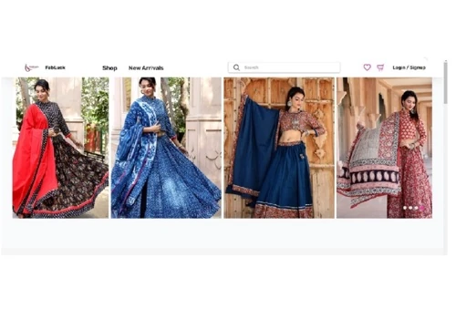 Ecommerce Website Development