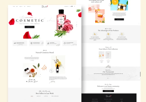 Cosmetics eCommerce Store