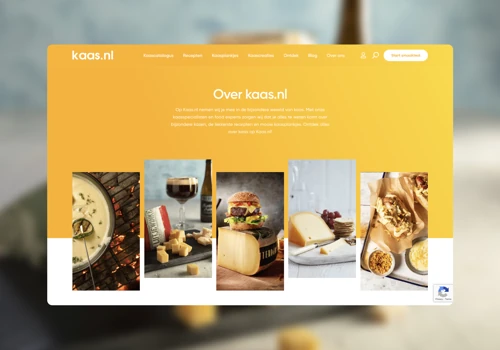 Next level cheese experience