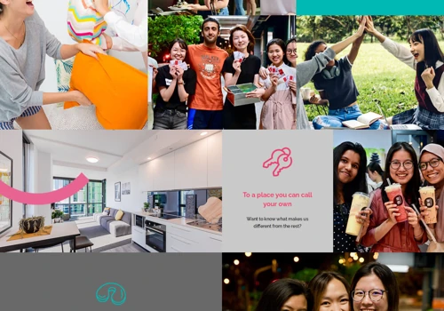 Website Development