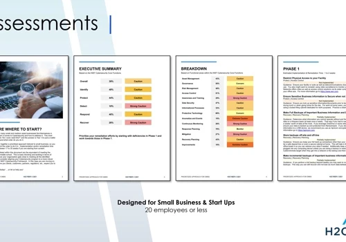 Small Business Assessment