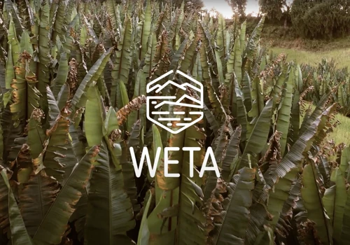 WETA Video Project | COOPI