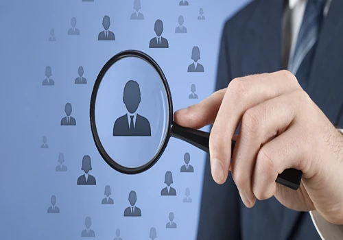 Placement Consultant